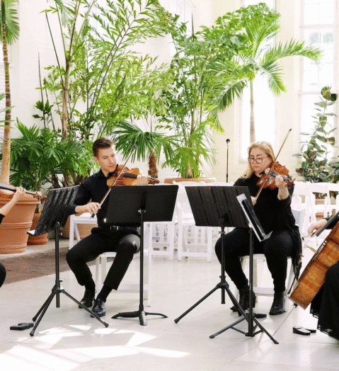 four violin players in a room