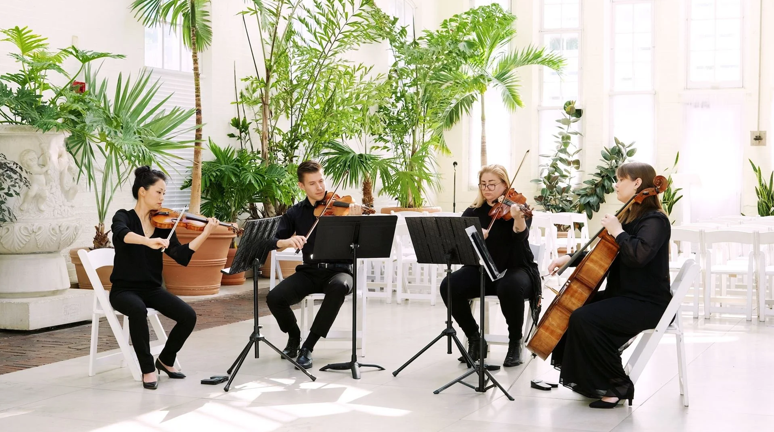 four violin players in a room